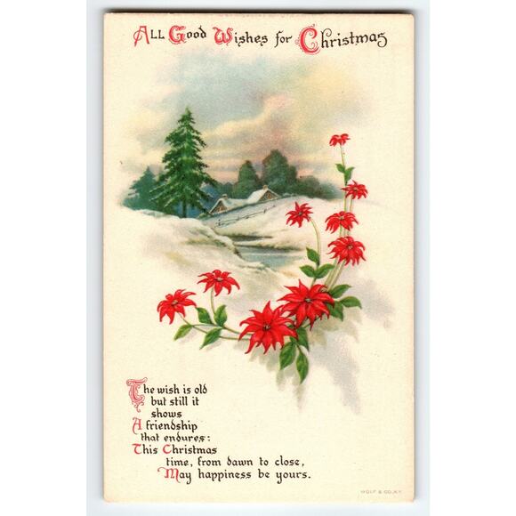 Vintage 1914 Christmas Postcard Winter Scene with Poinsettias by Wolf & Co. - Picture 1 of 2